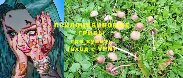 трава Алексеевка