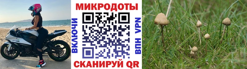 нарко площадка телеграм  Сенгилей  Галлюциногенные грибы Cubensis  мега зеркало 